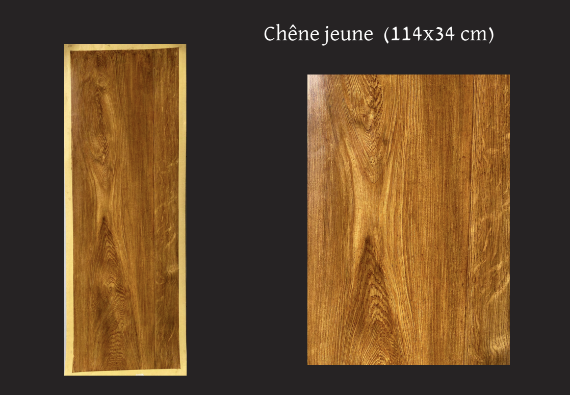 Chêne jaune