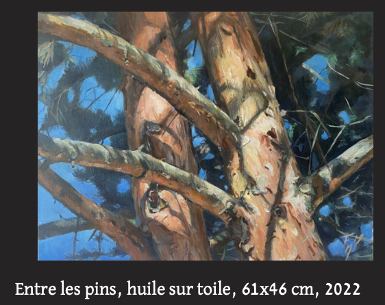 Entre les pins